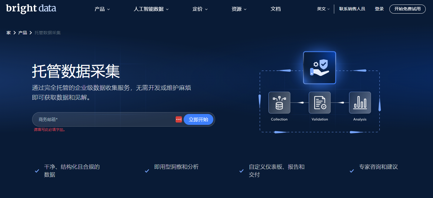 Bright Data 托管数据采集服务